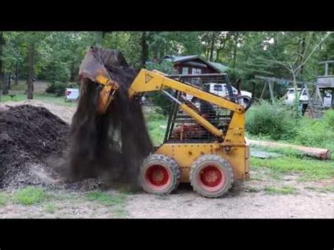 skidsteer no reserve for sale 